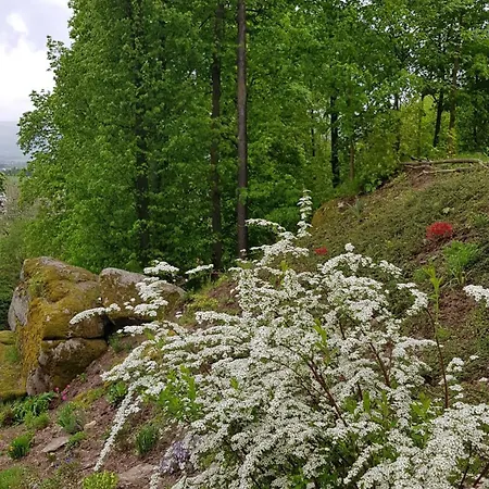 Penzion Restaurace A Bludoveček Bludov (Sumperk)